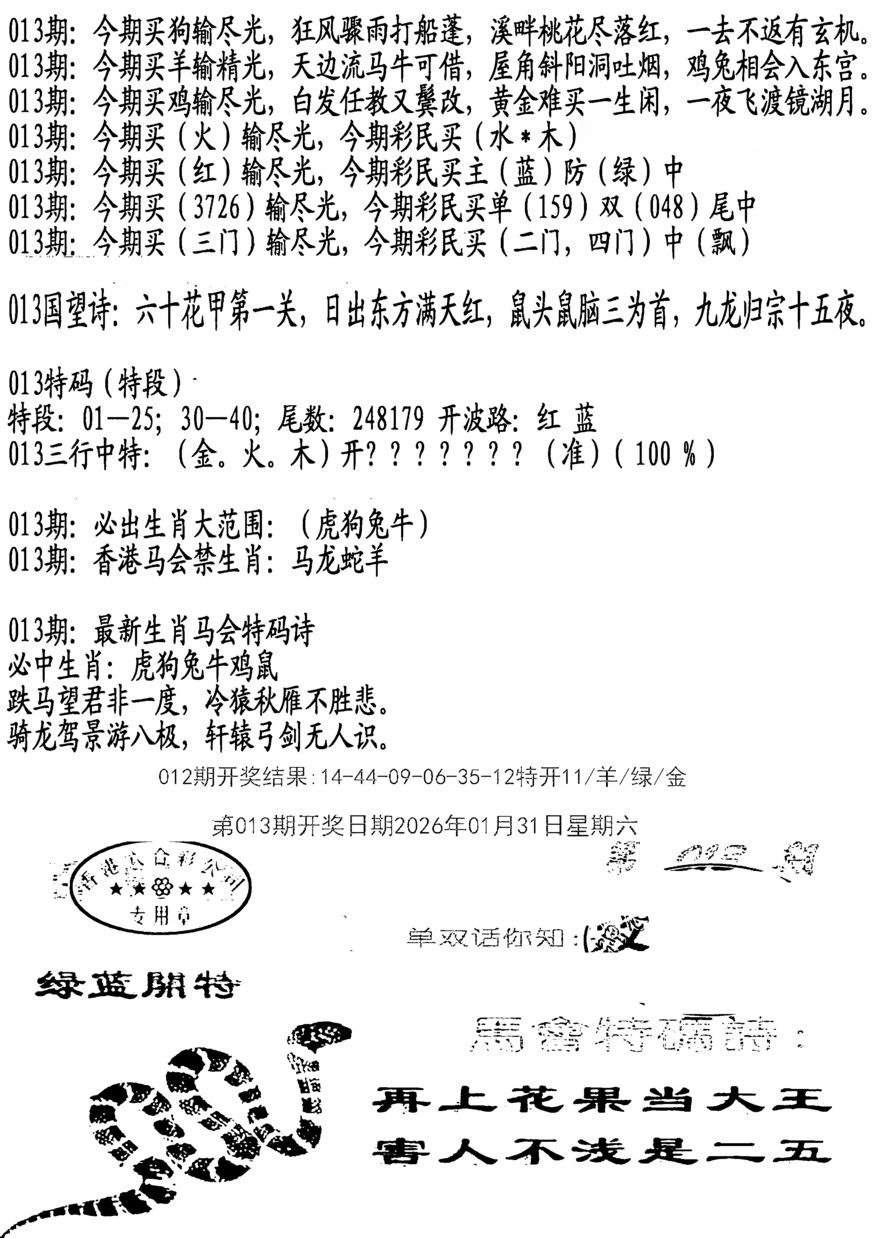 013期蛇报B[图]